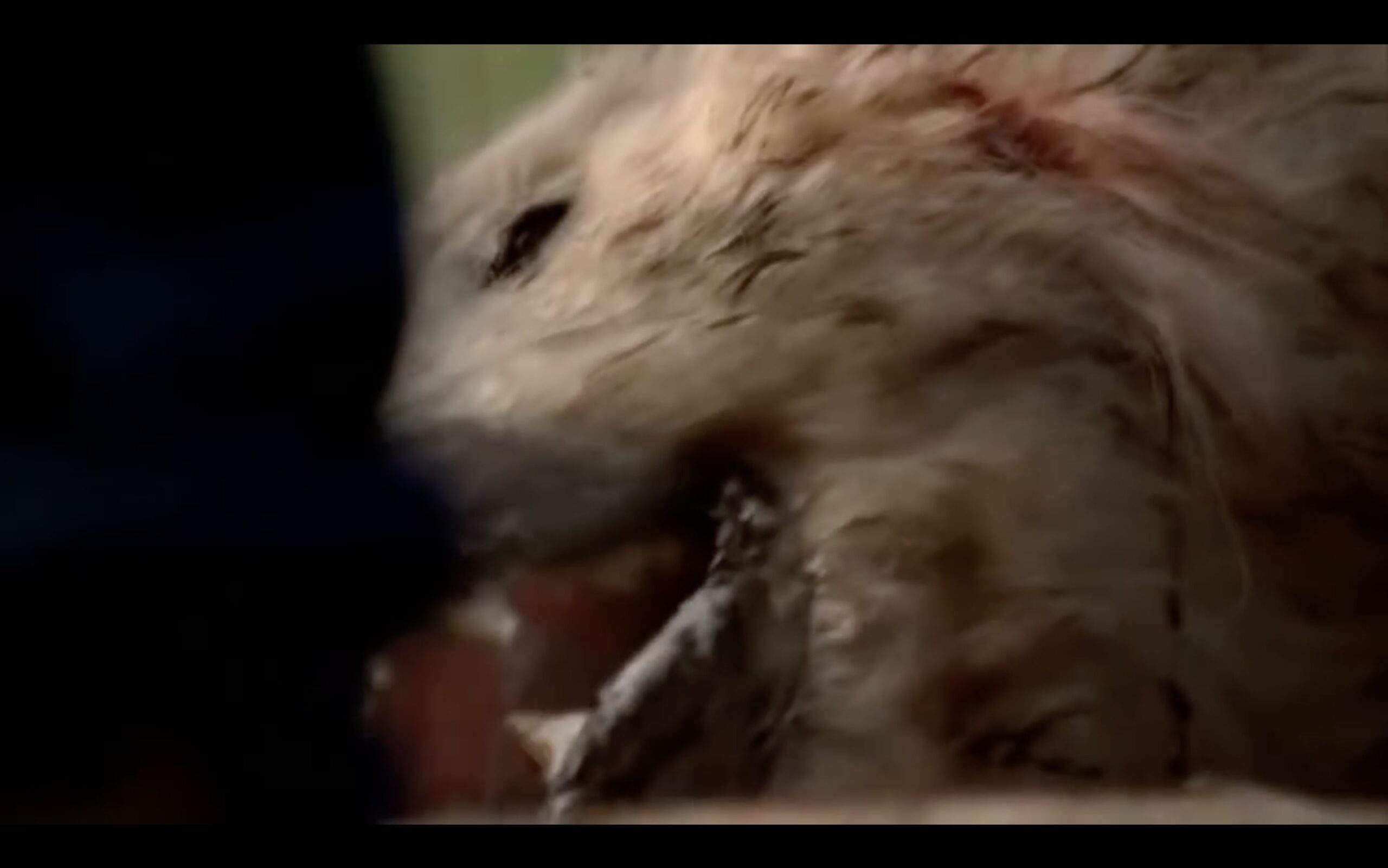 10 Absolutely Weirdest Movie Scenes Ever Made